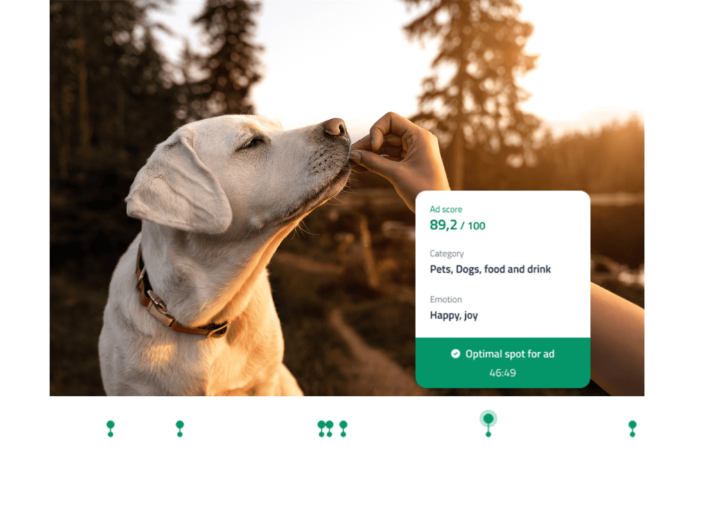 Video of a dog getting a treat and video being graded safe by ai